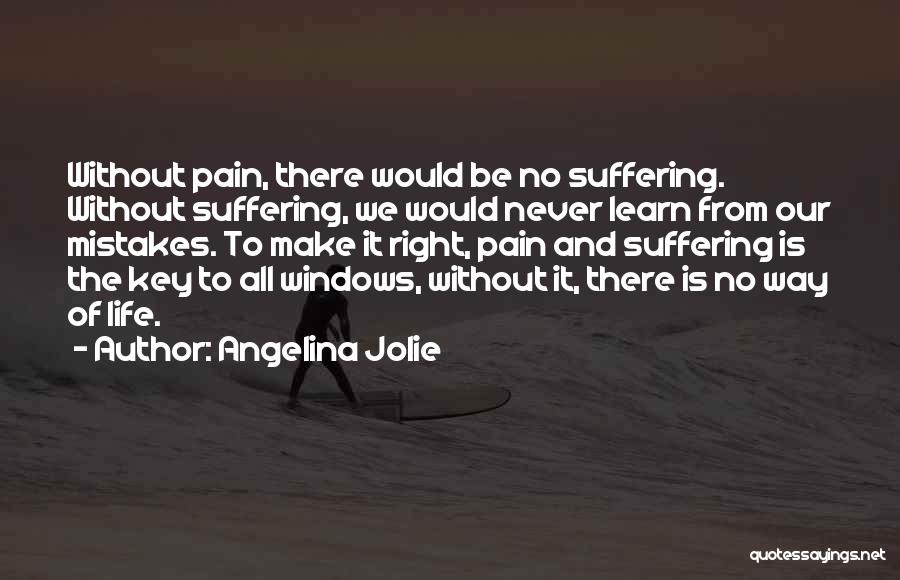 Learn From Pain Quotes By Angelina Jolie