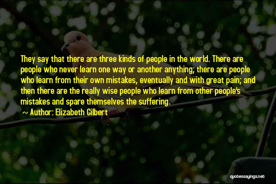 Learn From Pain Quotes By Elizabeth Gilbert