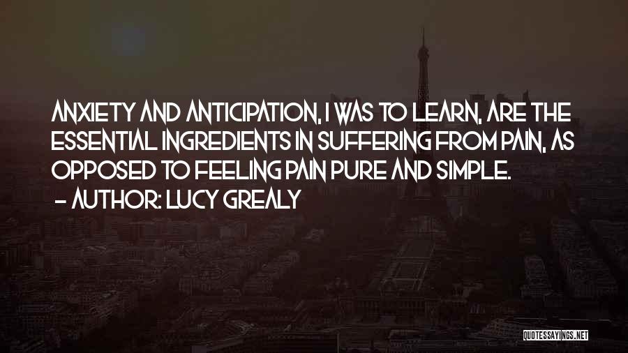 Learn From Pain Quotes By Lucy Grealy