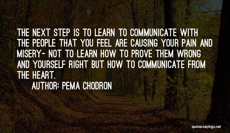 Learn From Pain Quotes By Pema Chodron
