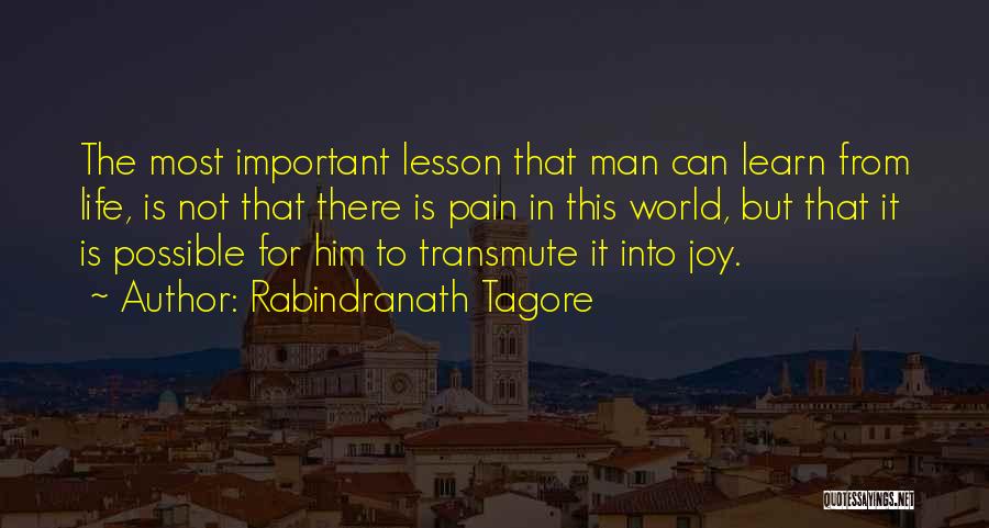 Learn From Pain Quotes By Rabindranath Tagore