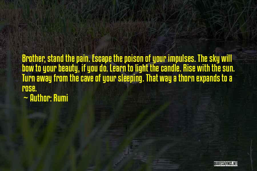 Learn From Pain Quotes By Rumi