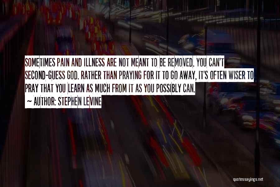 Learn From Pain Quotes By Stephen Levine