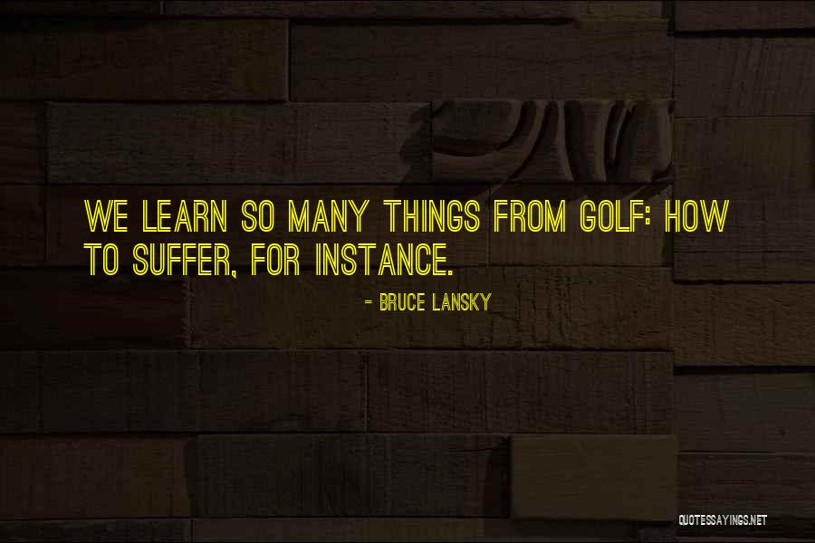 Learn From Suffering Quotes By Bruce Lansky