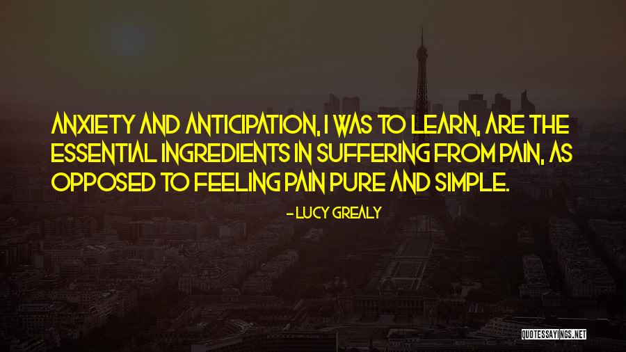 Learn From Suffering Quotes By Lucy Grealy Learn From Suffering Quotes By Lucy Grealy