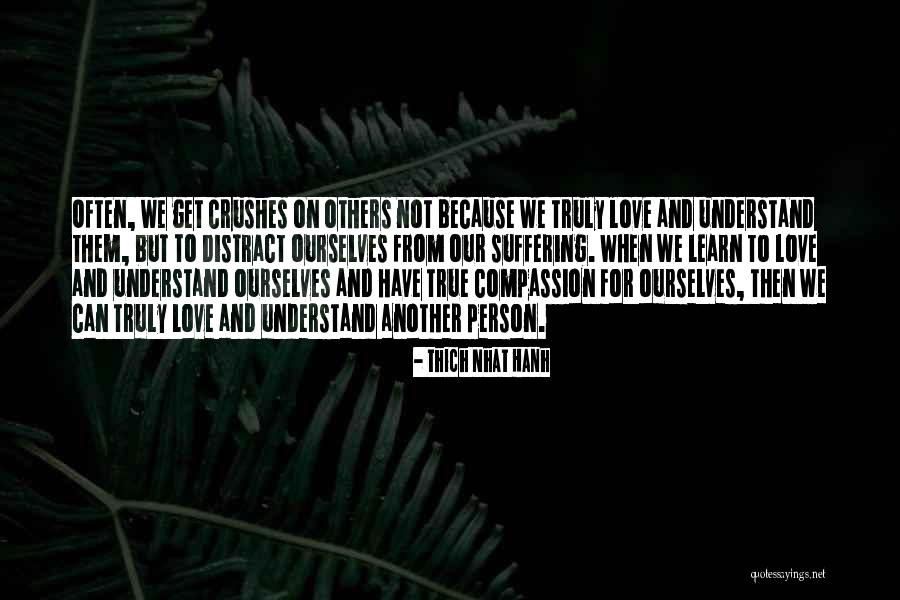 Learn From Suffering Quotes By Thich Nhat Hanh Learn From Suffering Quotes By Thich Nhat Hanh