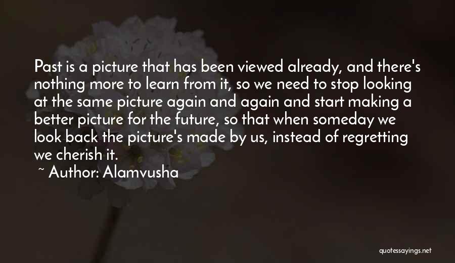 Learn From The Past For The Future Quotes By Alamvusha