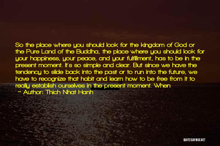 Learn From The Past For The Future Quotes By Thich Nhat Hanh