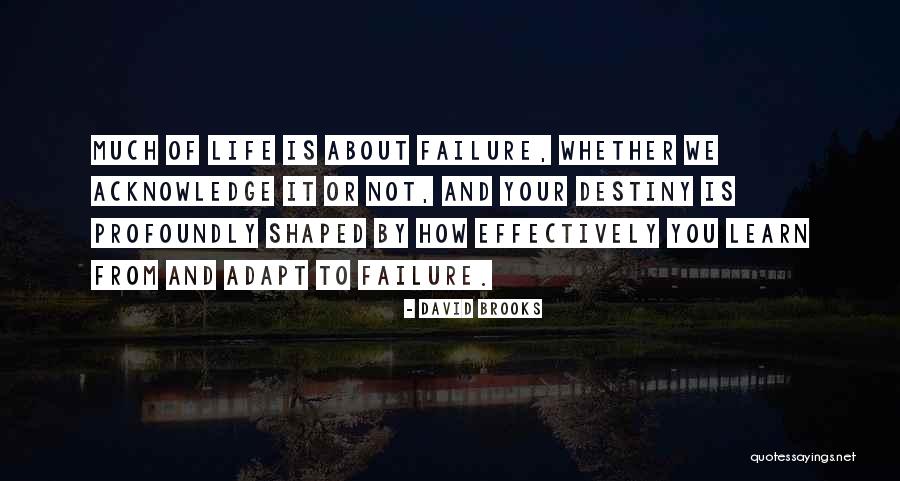 Learn From Your Failure Quotes By David Brooks Learn From Your Failure Quotes By David Brooks
