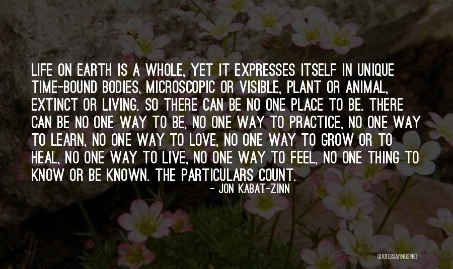 Learn Love Live Life Quotes By Jon Kabat-Zinn Learn Love Live Life Quotes By Jon Kabat-Zinn