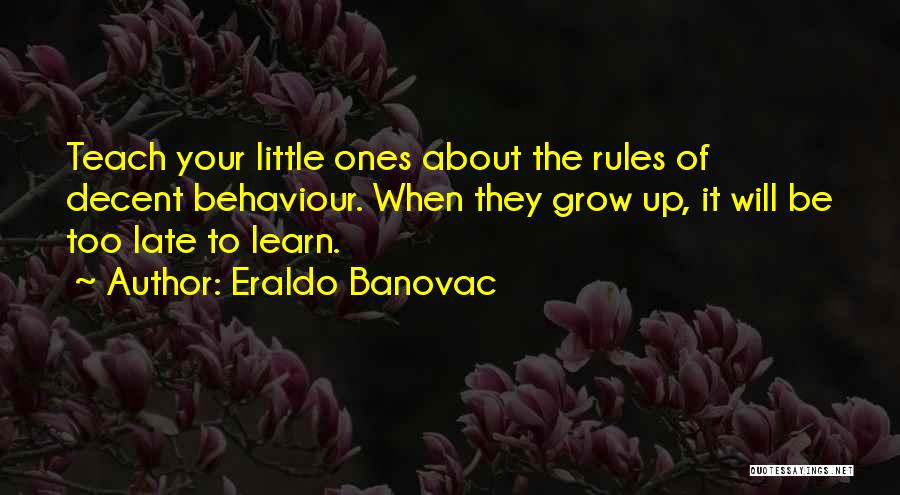 Learn The Rules Quotes By Eraldo Banovac