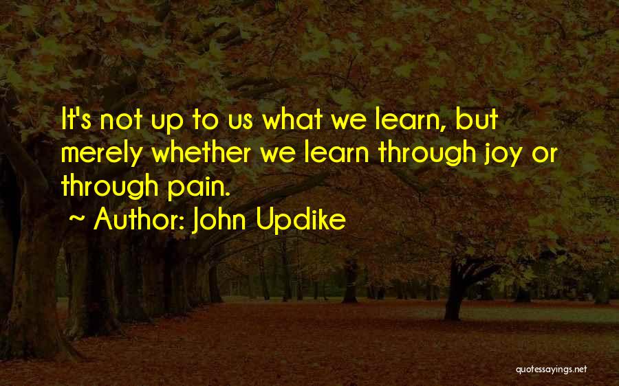 Learn Through Pain Quotes By John Updike