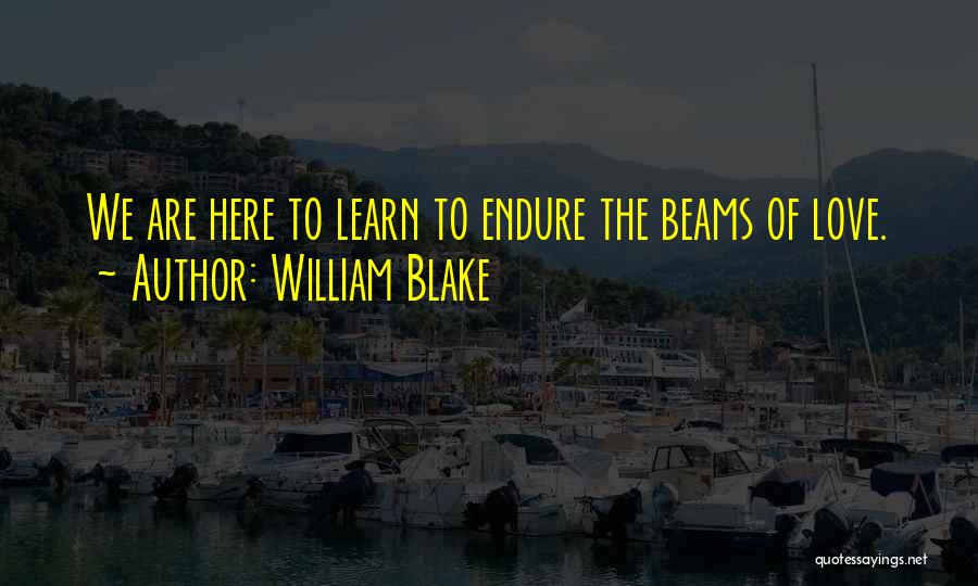 Learn To Endure Quotes By William Blake