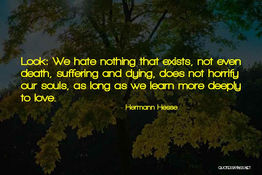 Learn To Hate Quotes By Hermann Hesse