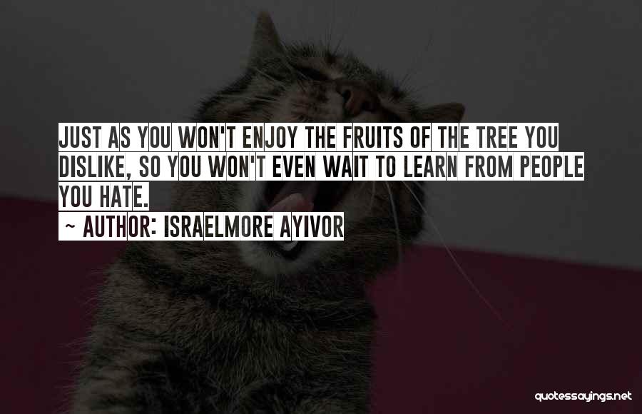 Learn To Hate Quotes By Israelmore Ayivor