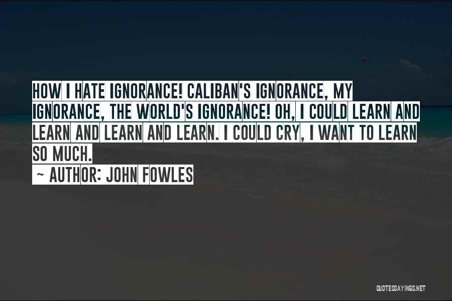 Learn To Hate Quotes By John Fowles