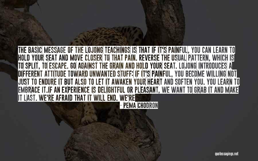 Learn To Let Go And Let Be Quotes By Pema Chodron Learn To Let Go And Let Be Quotes By Pema Chodron