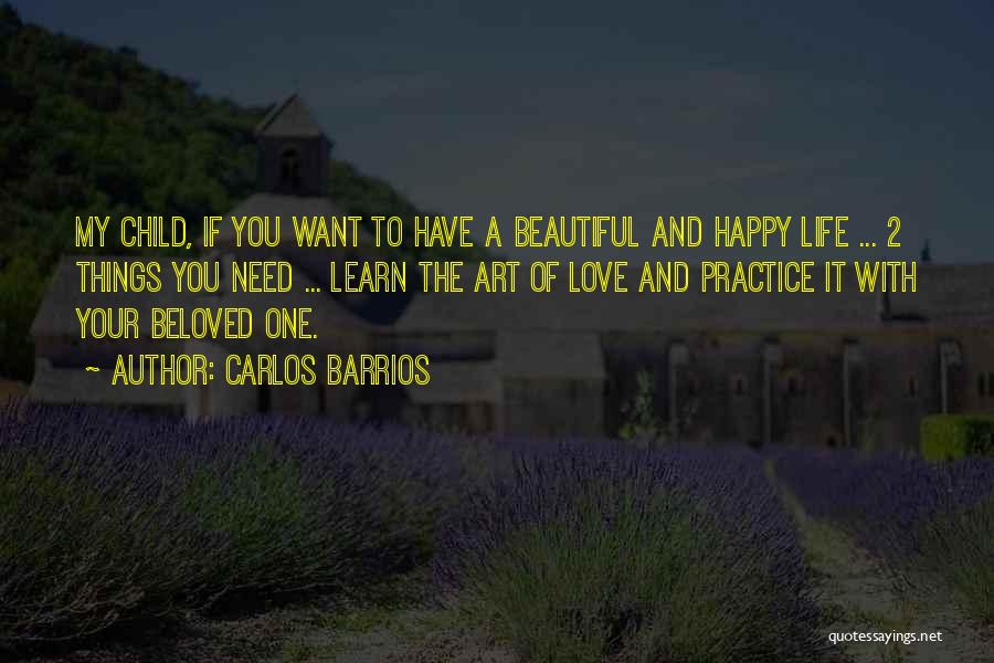 Learn To Love Your Life Quotes By Carlos Barrios