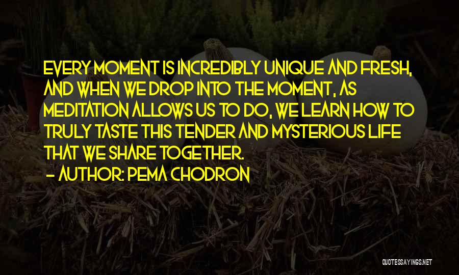 Learn To Share Quotes By Pema Chodron