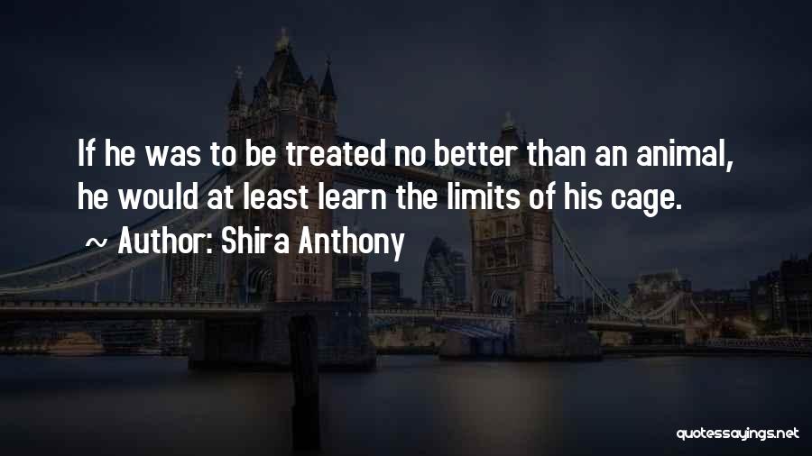 Learn Your Limits Quotes By Shira Anthony