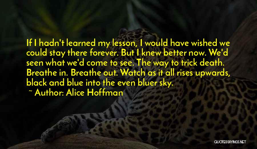 Learned My Lesson Quotes By Alice Hoffman