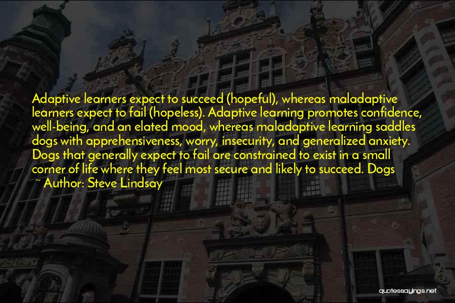 Learners And Learning Quotes By Steve Lindsay