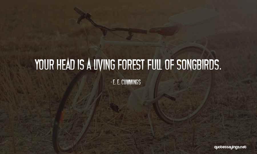 Learning A Lesson The Hard Way Quotes By E. E. Cummings