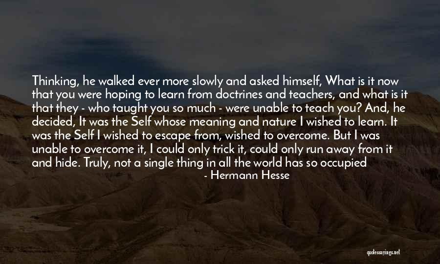 Learning About Others Quotes By Hermann Hesse Learning About Others Quotes By Hermann Hesse