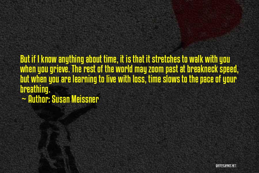 Learning About The Past Quotes By Susan Meissner