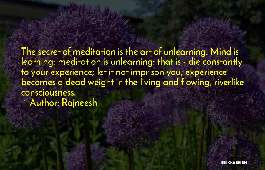 Learning And Experience Quotes By Rajneesh