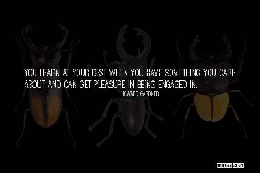 Learning And Teaching Quotes By Howard Gardner Learning And Teaching Quotes By Howard Gardner