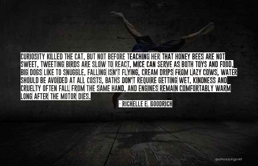 Learning And Teaching Quotes By Richelle E. Goodrich