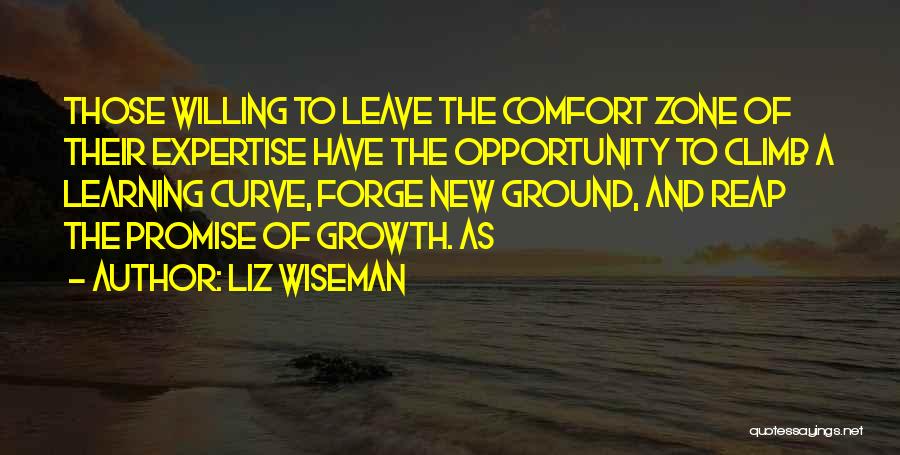 Learning Curve Quotes By Liz Wiseman