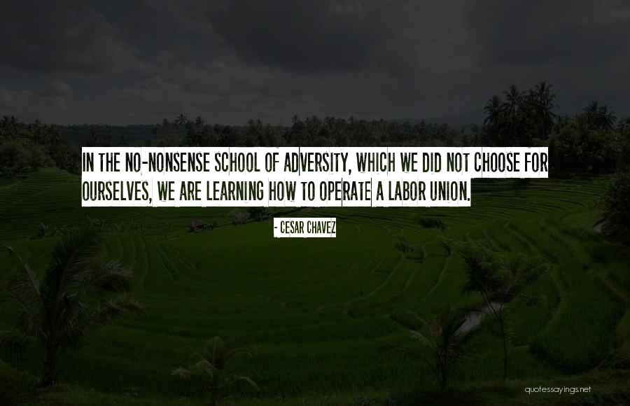 Learning From Adversity Quotes By Cesar Chavez Learning From Adversity Quotes By Cesar Chavez