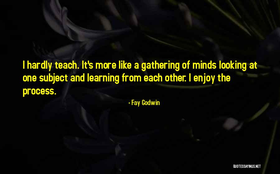 Learning From Each Other Quotes By Fay Godwin