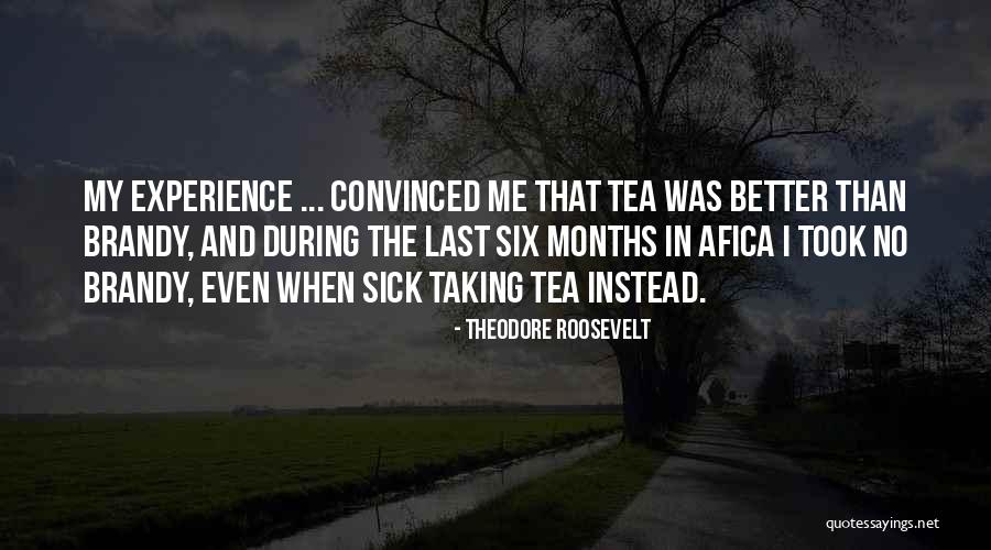 Learning From Elders Quotes By Theodore Roosevelt Learning From Elders Quotes By Theodore Roosevelt