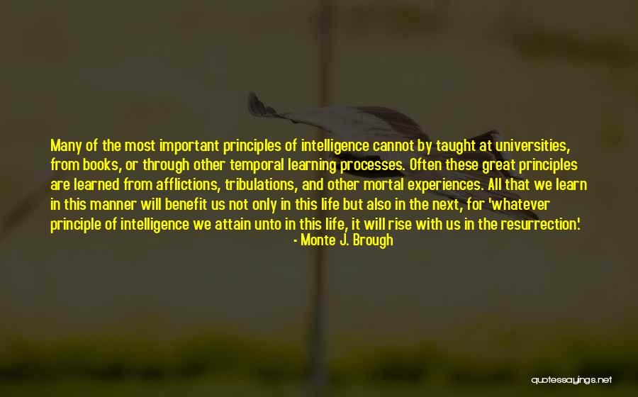 Learning From Experiences Quotes By Monte J. Brough