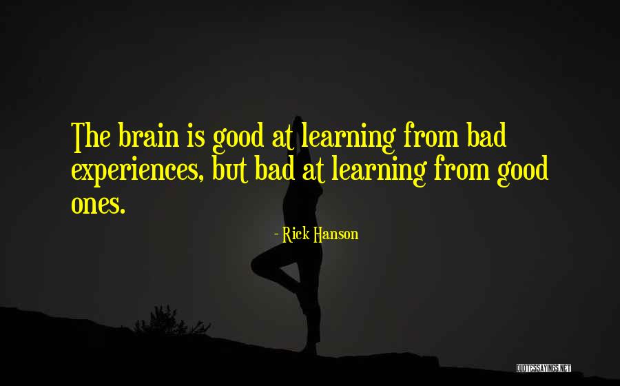 Learning From Experiences Quotes By Rick Hanson