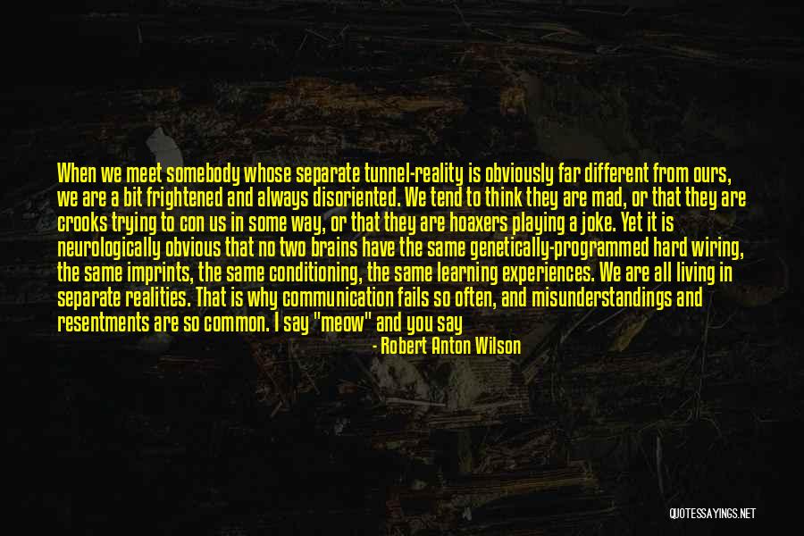 Learning From Experiences Quotes By Robert Anton Wilson