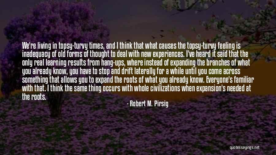 Learning From Experiences Quotes By Robert M. Pirsig