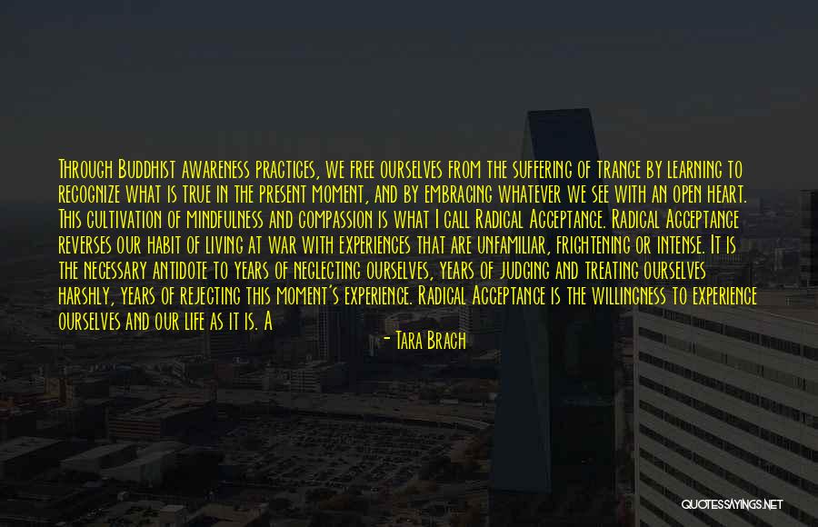 Learning From Experiences Quotes By Tara Brach Learning From Experiences Quotes By Tara Brach