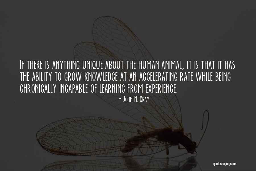 Learning From Life Lessons Quotes By John N. Gray Learning From Life Lessons Quotes By John N. Gray