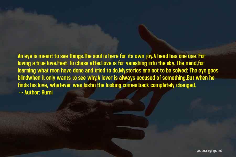 Learning From Lost Love Quotes By Rumi