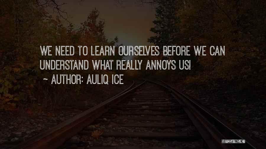 Learning From Mistakes Quotes By Auliq Ice
