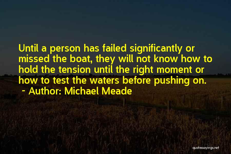 Learning From Mistakes Quotes By Michael Meade