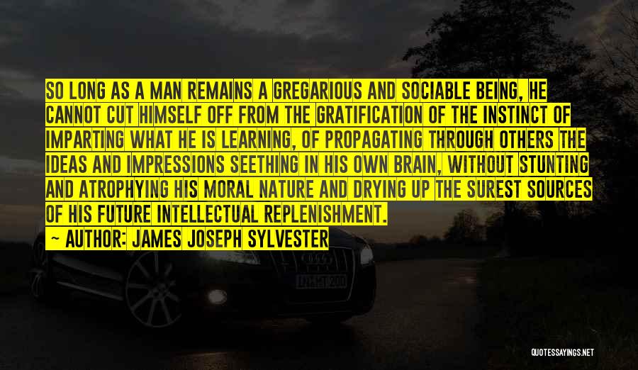 Learning From Others Quotes By James Joseph Sylvester