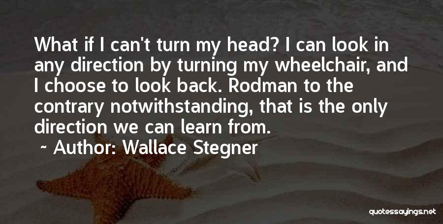 Learning From The Past Quotes By Wallace Stegner