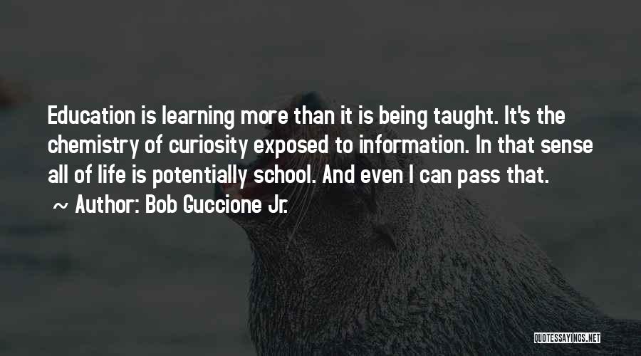 Learning In School Quotes By Bob Guccione Jr.