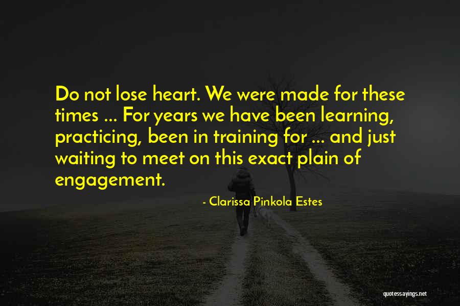 Learning In Training Quotes By Clarissa Pinkola Estes Learning In Training Quotes By Clarissa Pinkola Estes