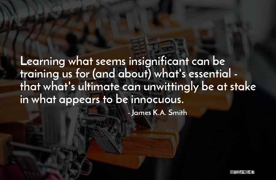 Learning In Training Quotes By James K.A. Smith Learning In Training Quotes By James K.A. Smith